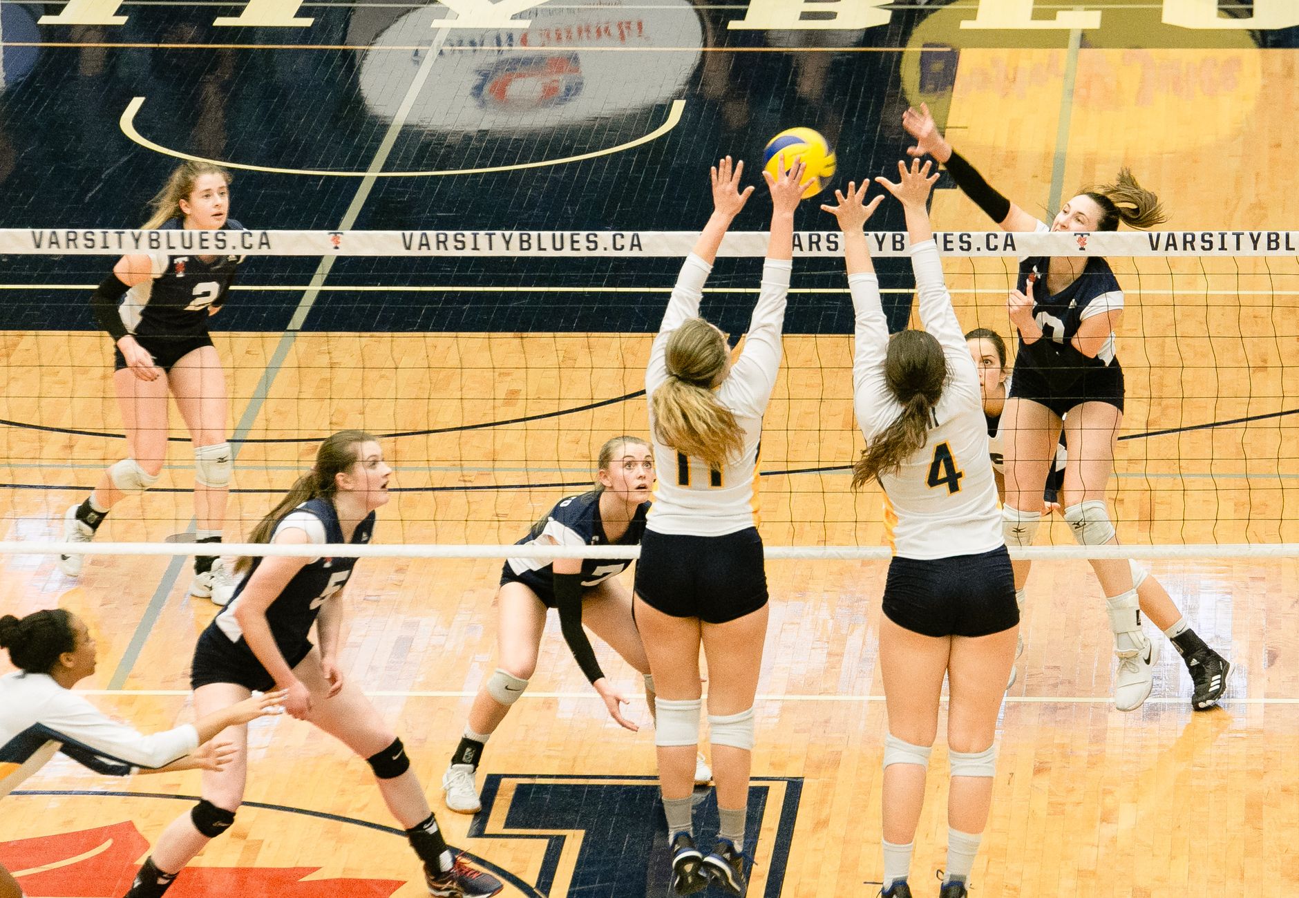 High angle view of women's volleyball game with active players in action on court.