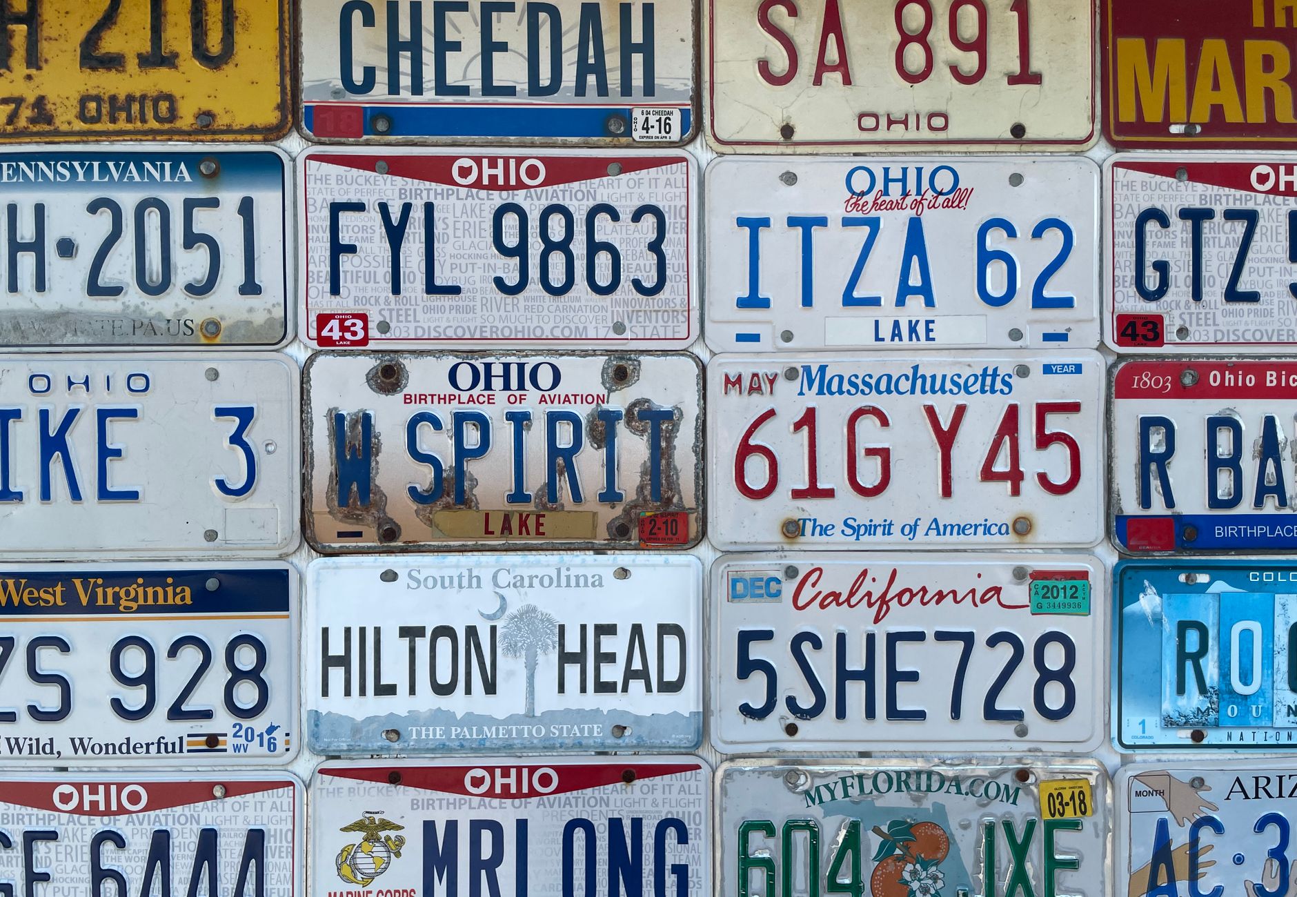 Colorful variety of license plates from different states arranged on a wall, showcasing unique designs.