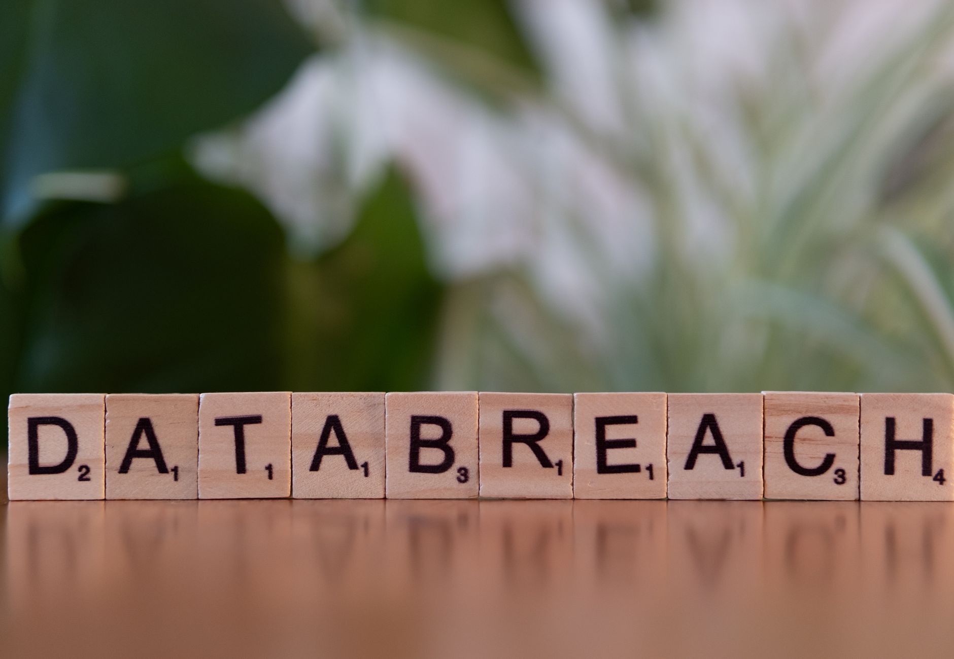 Close-up of Scrabble tiles spelling 'data breach' on a blurred background